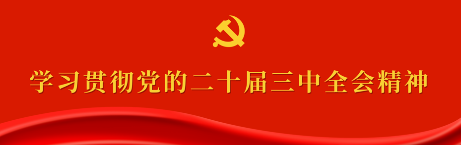 学习贯彻党的二十届三中全会精神